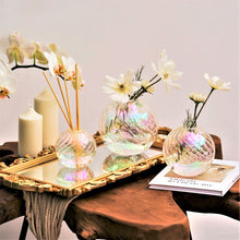 Load image into Gallery viewer, Willceka Iridescent Ball Vases for Home Decor