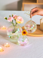Load image into Gallery viewer, Willceka Iridescent Ball Vases for Home Decor